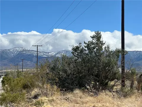 0 263rd St E, Llano, CA 93544 photo 10