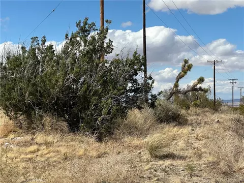 0 263rd St E, Llano, CA 93544 photo 12