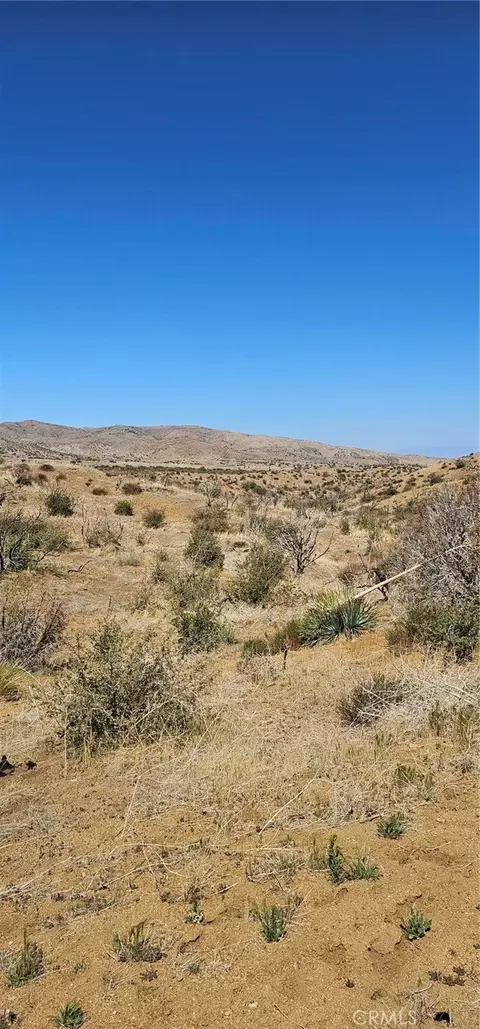 0 98th St E, Juniper Hills, CA 93543 photo 4