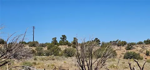 0 98th St E, Juniper Hills, CA 93543 photo 15