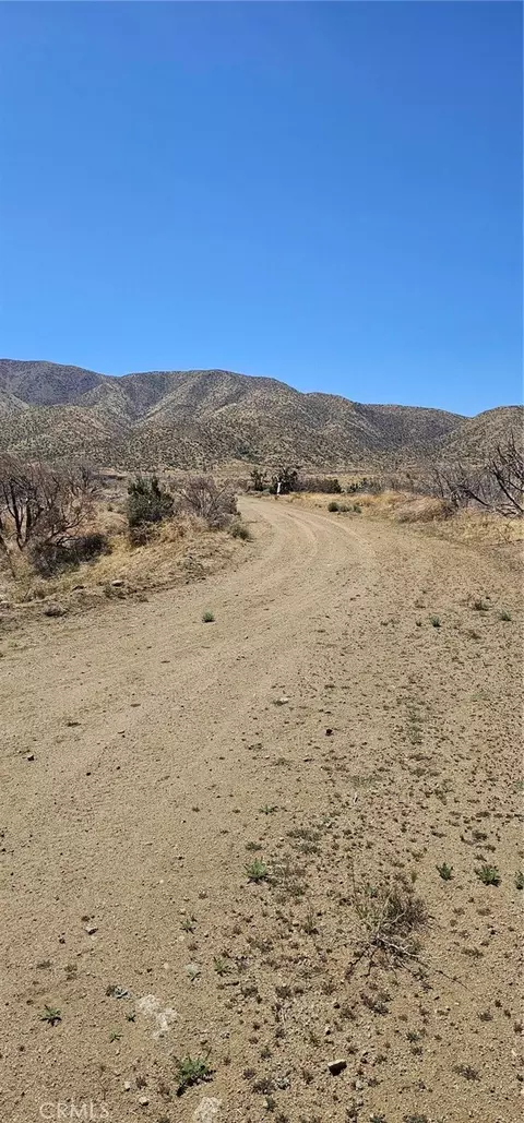 0 98th St E, Juniper Hills, CA 93543 photo 10
