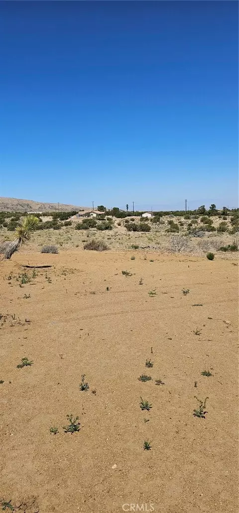 0 98th St E, Juniper Hills, CA 93543 photo 14