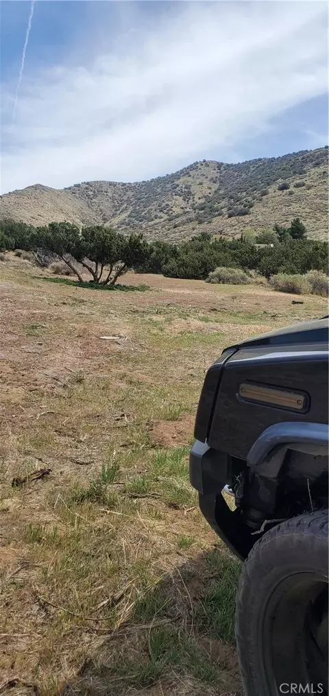 0 Soledad Passhillside Dr, Acton, CA 93550