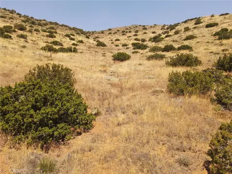 0 Valleysage Rd, Agua Dulce, CA 91350