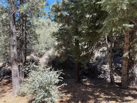 1420 Linden Dr, Pine Mountain Club, CA 93222