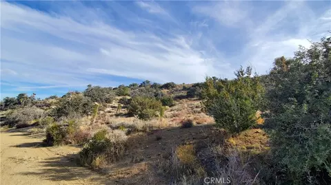 0 Vicinity Ross Rd E, Juniper Hills, CA 93543 photo 16