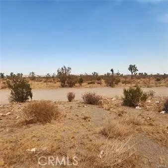 1595 La Mesa Rd, Pinon Hills, CA 92372