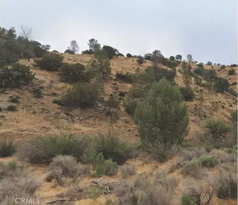 35000 Sand Canyon Rd, Caliente, CA 93518
