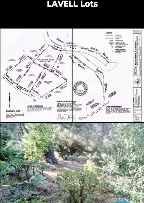 3633 Lavell Dr, Los Angeles, CA 90065