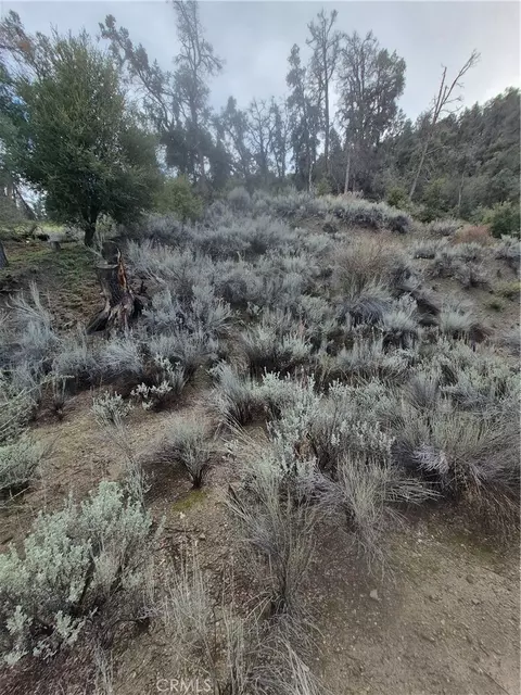 15532 San Moritz, Pine Mountain Club, CA 93222
