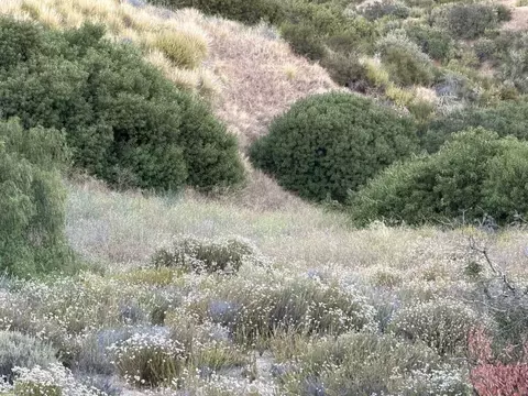 2 Coya Trl, Chatsworth, CA 91311 photo 2