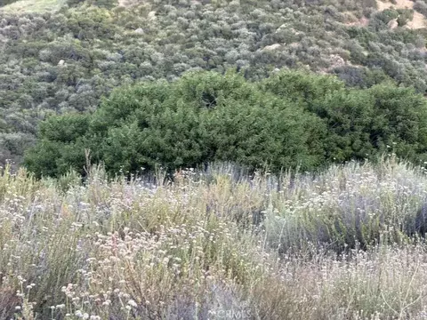4 Coya Trl, Chatsworth, CA 91311 photo 13