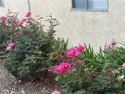 Exterior - 8105 Canby #4, Reseda, CA 91335 photo 8 of 8
