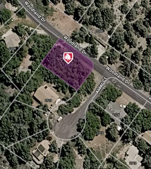 2117 Alder Ct, Pine Mountain Club, CA 93222