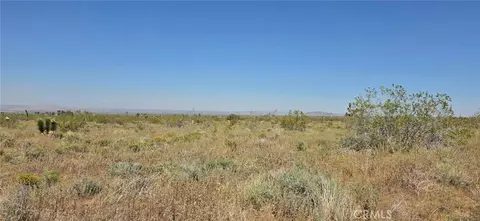 0 173rd E W-12, Llano, CA 93544 photo 4