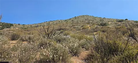 0 Madison, Agua Dulce, CA 91350