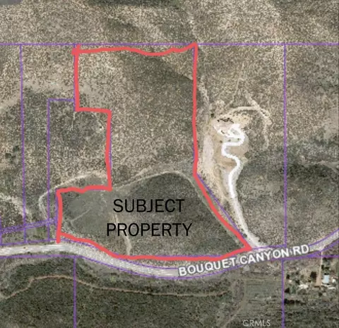 38351 Bouquet Canyon Rd, Leona Valley, CA 93551