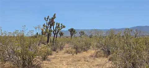 0 187th Avenue W10, Llano, CA 93591 photo 3