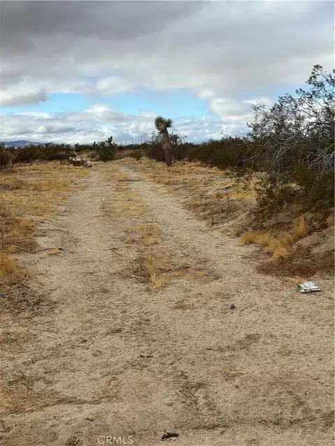 165 E Avenue S8, Palmdale, CA 93591 photo 2