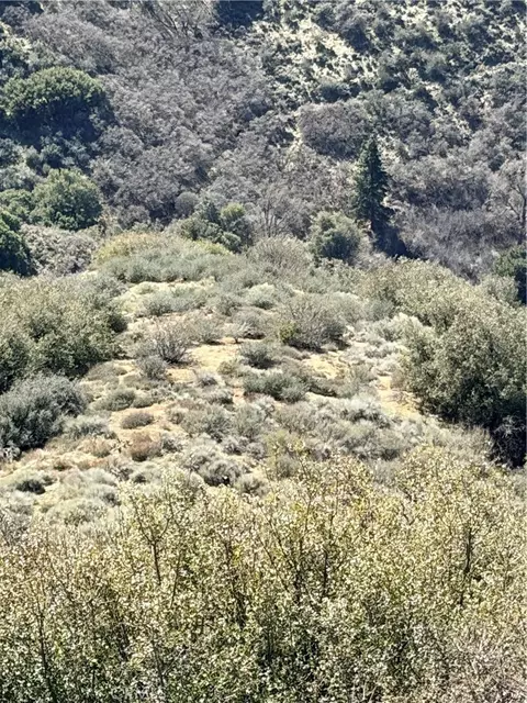 23320 Constance, Tehachapi, CA 93561 photo 5