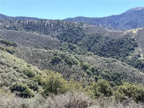 23320 Constance, Tehachapi, CA 93561 photo 3