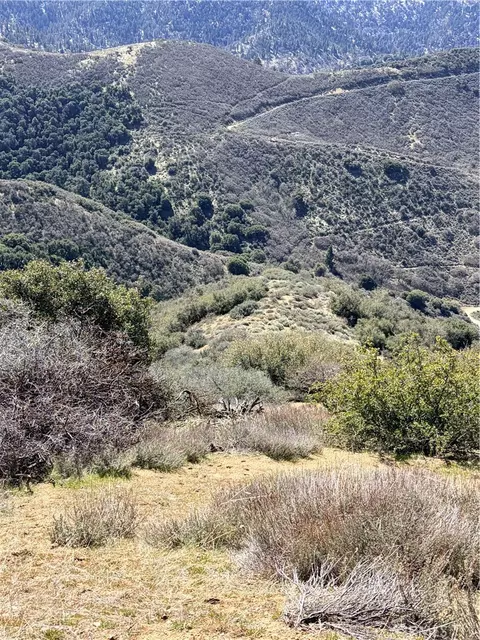23320 Constance, Tehachapi, CA 93561 photo 4