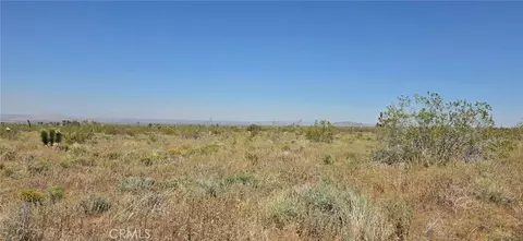 0 175th St E W14, Llano, CA 93591 photo 3