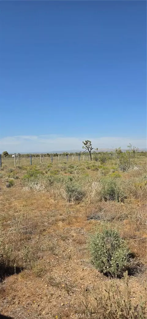 0 175th St E W14, Llano, CA 93591 photo 14
