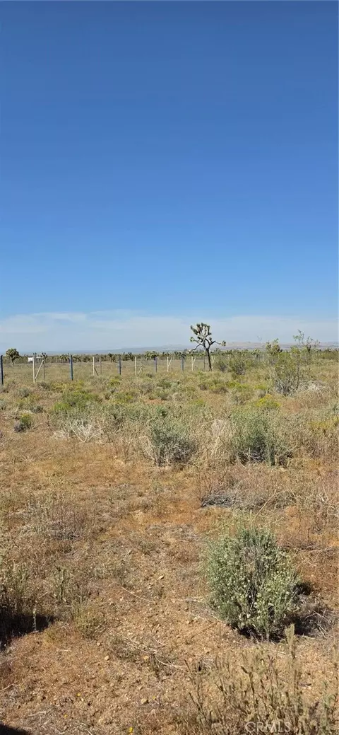 0 175th St E W10, Llano, CA 93591 photo 14