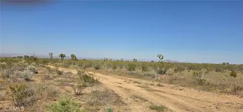 0 175th St E W10, Llano, CA 93591 photo 9