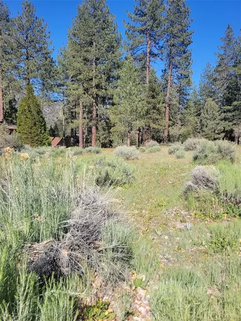 2612 Brentwood, Pine Mountain Club, CA 93222