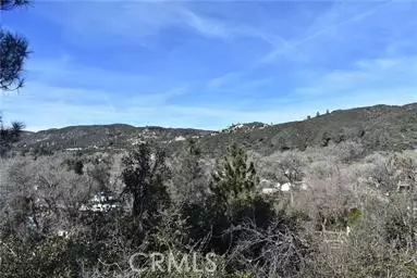 1 Vacaustin Waysylvan Dr, Lake Hughes, CA 93532