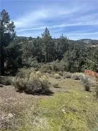 2029 Zermatt Dr, Pine Mountain Club, CA 93222