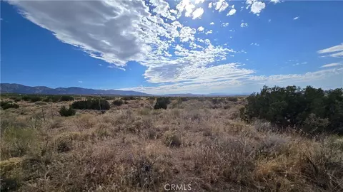 0 Vicinity Ave X13 189th St E, Llano, CA 93544 photo 31
