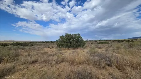 0 Vicinity Ave X13 189th St E, Llano, CA 93544 photo 15