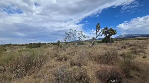 0 Vicinity Ave X13 189th St E, Llano, CA 93544 photo 8