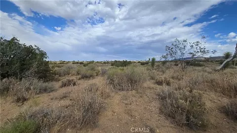 0 Vicinity Ave X13 189th St E, Llano, CA 93544 photo 7