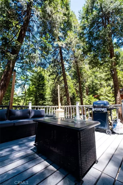 Exterior - 29054 Alder Ter, Cedar Glen, CA 92321 photo 3 of 5