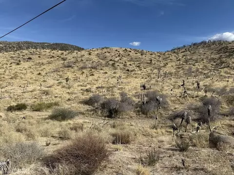 0 200, Llano, CA 93544 photo 20