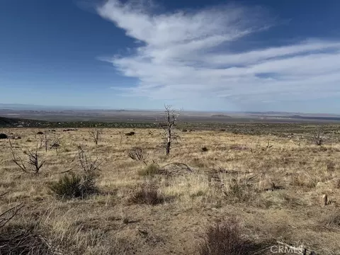 0 200, Llano, CA 93544 photo 28