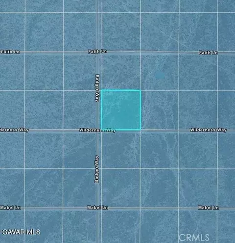 0 Charleston Ln Badger Way, Tecopa, CA 92389 photo 4