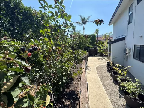 Exterior - 1931 Warmlands Ave, Vista, CA 92084 photo 20 of 23