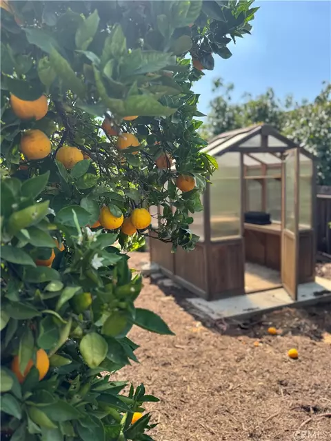 Exterior - 1931 Warmlands Ave, Vista, CA 92084 photo 14 of 23