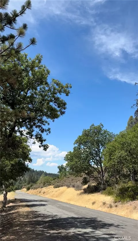 1651 Summit Creek Rd, Hayfork, CA 96041 photo 3