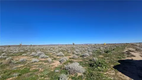 0 Twenty Mule Team Rd, Boron, CA 93516 photo 11