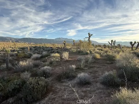 0 Ave X220, Llano, CA 93544 photo 41