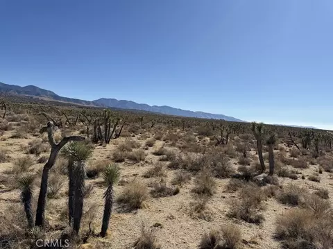 0 Ave X220, Llano, CA 93544 photo 58