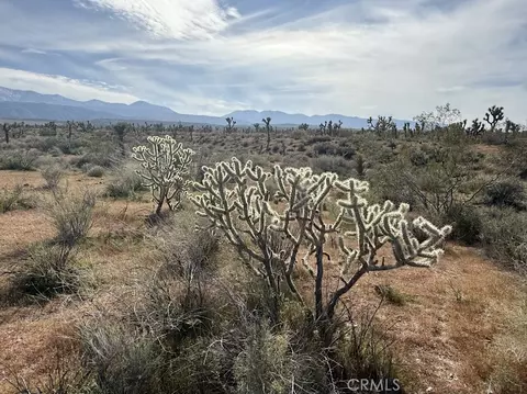 0 Ave X220, Llano, CA 93544 photo 52