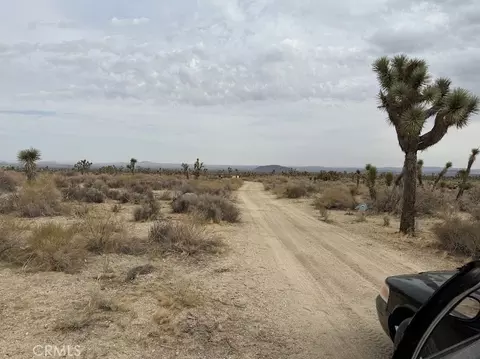 0 Ave X220, Llano, CA 93544 photo 6