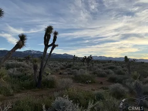 0 Ave X220, Llano, CA 93544 photo 47